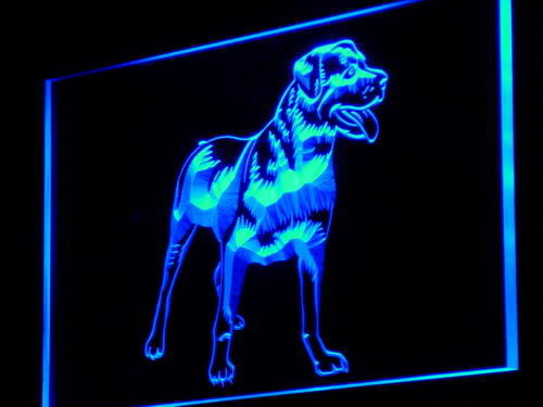 Rottweiler Dog Pet Shop Display Neon Light Sign